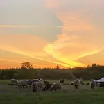 Hyrdeskolen Alloggio in famiglia *