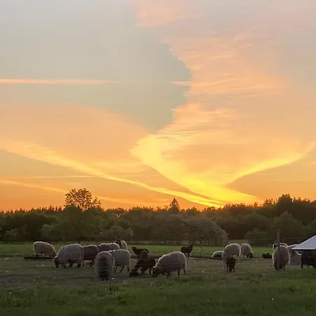 Hyrdeskolen Kwatera prywatna *